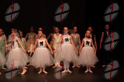 SHOW_02131.jpg
